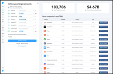 define target account