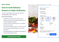 e-commerce payment option