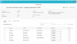 emarsys collaborative campaigne review