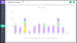 Monthly cost breakup