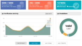 verification activity