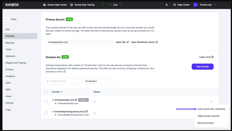 Kinsta Review 2024 - Why we switched to Kinsta Hosting