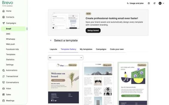 Brevo newsletter templates